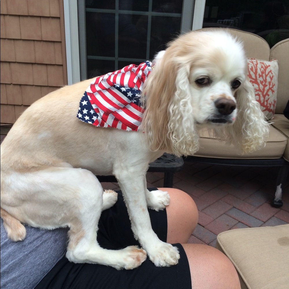 Meet your Posher, Jacqueline